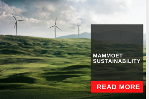 Mammmoet Sustainability.png